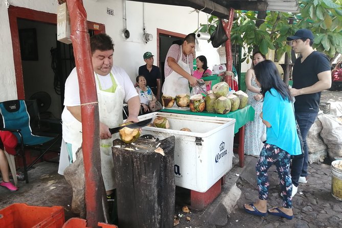 1 to 6 Passengers Vallarta Private City Tour - Los Arcos and Mismaloya: dramatic views with limited time
