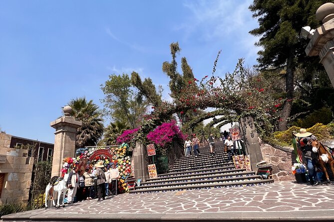 100% private tour in Guadalupe's Basilica with transport - Price and value at $80 per person