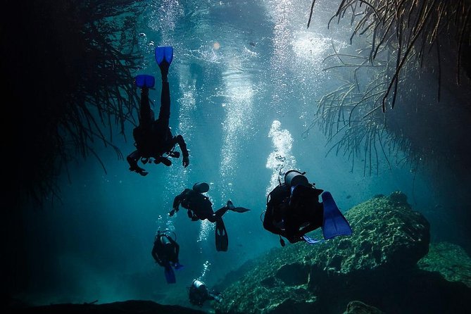 2 cenote divings (including one deep diving) for advanced divers in Tulum - Certification and health rules deserve serious attention