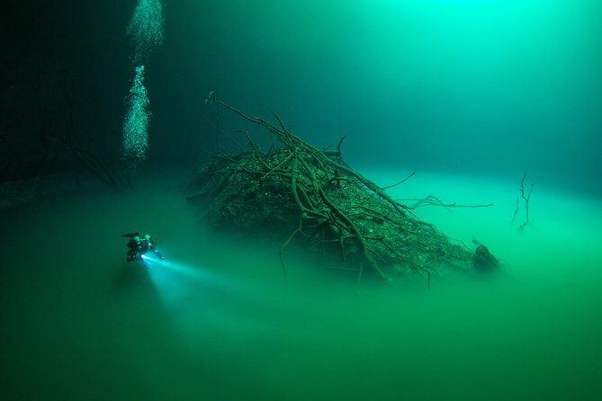 2 cenote divings (including one deep diving) for advanced divers in Tulum - The guides shape the quality of the morning