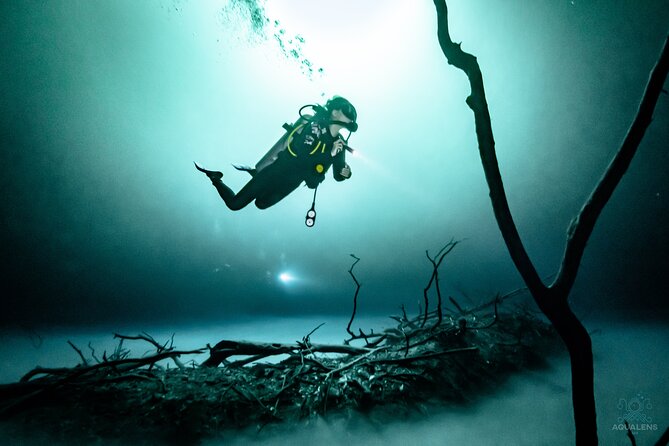 2 cenote divings (including one deep diving) for advanced divers in Tulum - The Pit brings depth, darkness, and sunlight