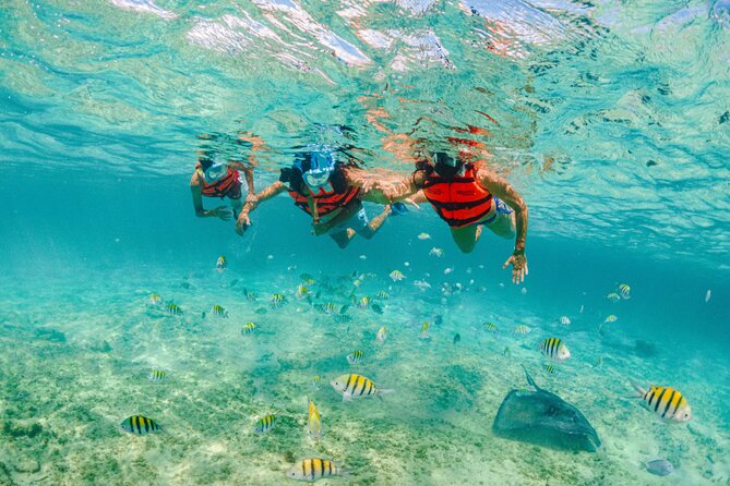 2 Day Combo Tour, Xcaret, Xel-Ha, Xplor and Chichen Itza Option - Price, value, and what to pack
