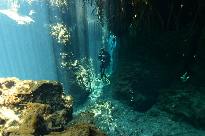 2 dives in Cenote Dos ojos Certified Divers - Why Cenote Dos Ojos feels so different