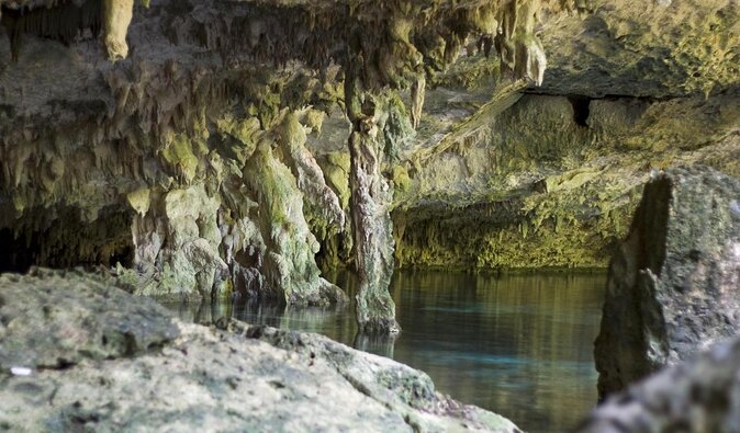 2 dives in Cenote Dos ojos Certified Divers - What happens at the two cenote stops