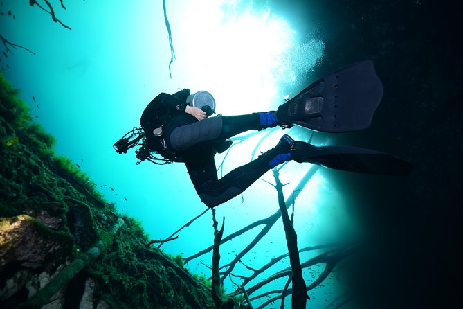 2 dives in Cenote Dos ojos Certified Divers - Is $200 a fair price?