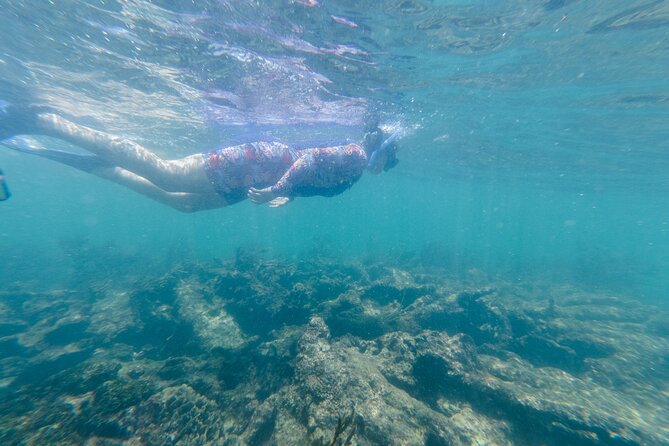 2-Hour Snorkeling in Two Spots of Tulum's Reef - What the $51.62 price includes and leaves out