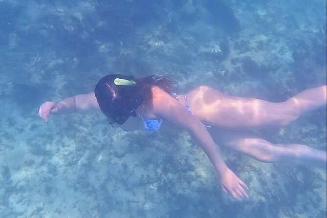 2-Hour Snorkeling in Two Spots of Tulum's Reef - Environmental conduct and animal encounters