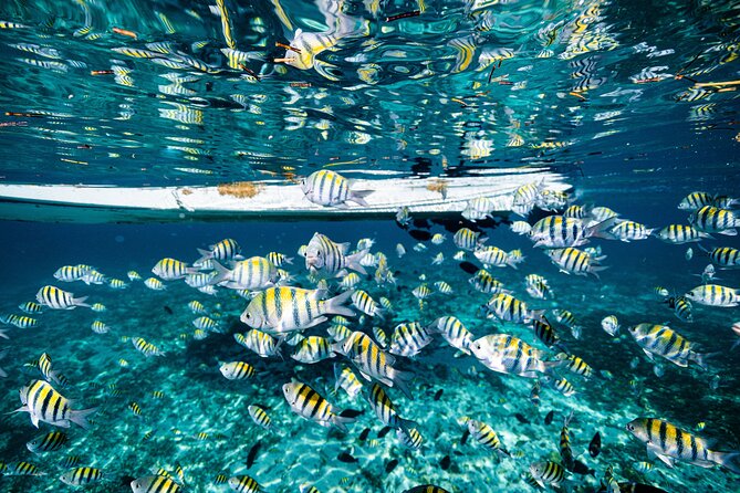2 in 1 Parasail Cancun and Jet ski - Who will enjoy this most
