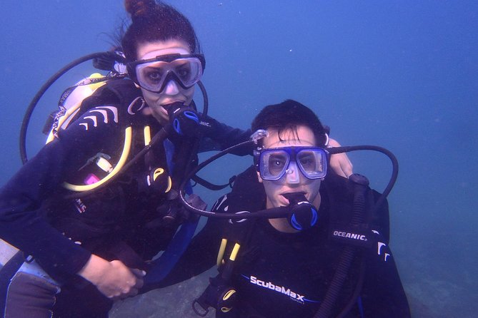 2 Tank Boat Dives for Certified Divers - Starting at Hotel Alba Suites in Las Playas