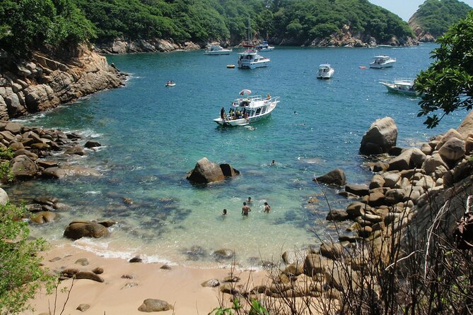 2 Tank Boat Dives for Certified Divers - Choosing between Roqueta Island, the harbor, and the bay