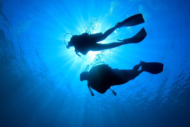 2 Tank Dive (for certified divers) - Why the small group matters