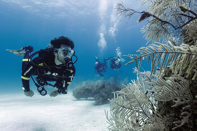 2 Tank Dive (for certified divers) - Cruise passengers need a careful timing plan