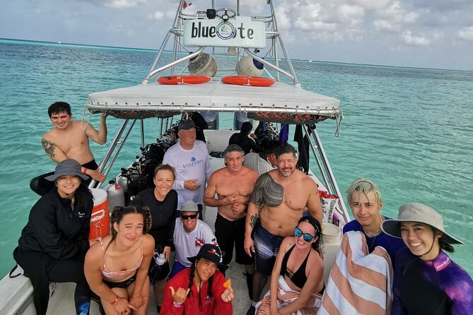 2 Tank Morning Dive: Scuba Diving in Cozumel - The surface interval: lunch, shade, and Caribbean views