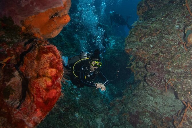 2 Tank Morning Dive: Scuba Diving in Cozumel - How the small-group setup changes the experience