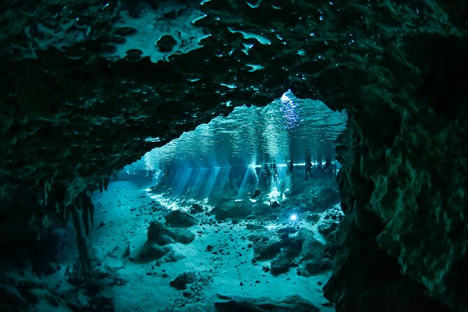 3 Cenote Dives - Casa & Dos Ojos - Two visits at Dos Ojos