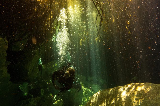 3 Cenote Dives - Casa & Dos Ojos - Starting at 8:00 am in La Veleta