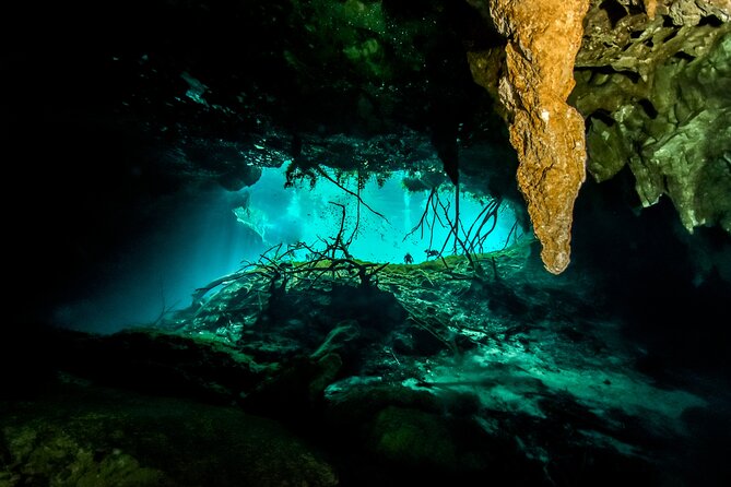 3 Cenote Dives - Casa & Dos Ojos - Safety and the human side of the operation