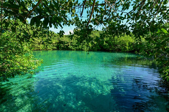 3 Cenote Dives - Casa & Dos Ojos - What to bring and how to prepare