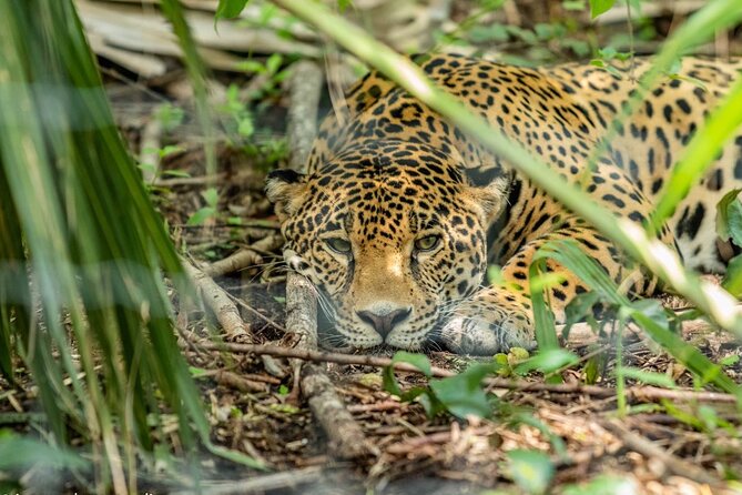3-Day Adventure and Nature Tour in Huasteca Potosina from Ciudad Valles - Day three needs a schedule check