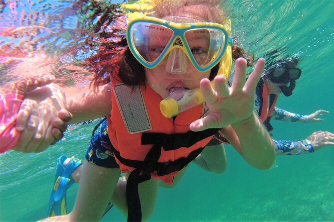 3 Hour Costa Maya Snorkeling Excursion - La Leyenda ECO-TOURS - What the reef may look like on your day