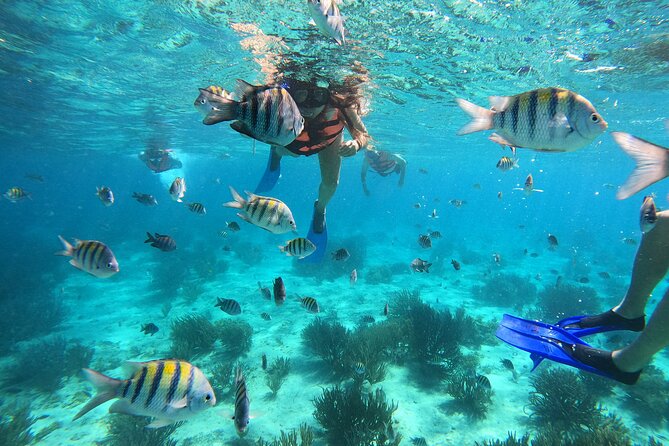 3 Hours VIP Semiprivate Tour Isla Mujeres Full Snorkeling Experience - Quick takeaways for planning your morning