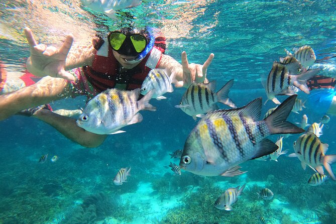 3 Hours VIP Semiprivate Tour Isla Mujeres Full Snorkeling Experience - Why the small boat changes the day