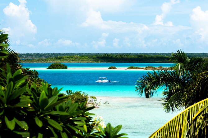 3 hr Pontoon Tour with access to Beach Club and Free Kayaks - Swimming in warm, clear water