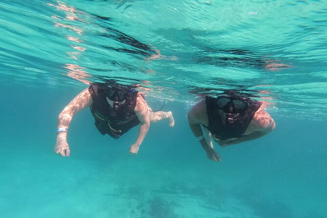 3 in 1 Private Tour Tulum Cenote and Snorkeling in the reef - Reef snorkeling in the national park
