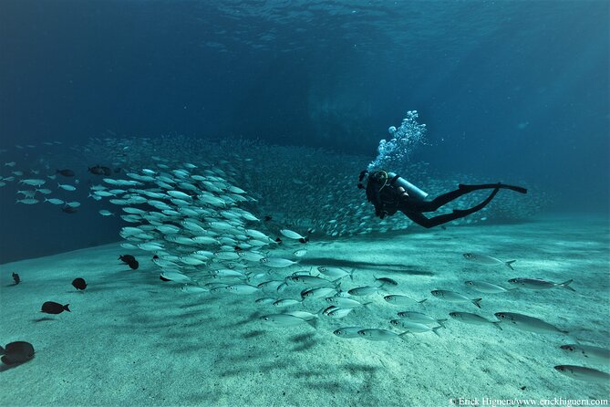 3-Tank Scuba in Marine Reserve and Corridor for Certified Divers - Starting at 7:30 a.m. near the Cabo marina