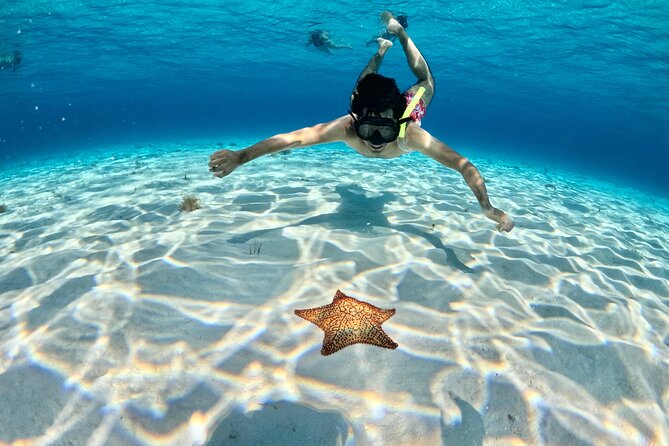 4 Hour Cozumel Turtle Sanctuary Experience on a Luxury Catamarán - Snorkeling for turtles, rays, sharks, and reef fish