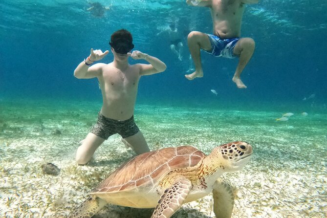 4 Hour Cozumel Turtle Sanctuary Experience on a Luxury Catamarán - El Cielo and the starfish shallows