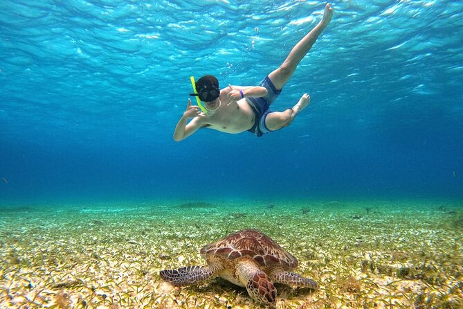 4 Hour Cozumel Turtle Sanctuary Experience on a Luxury Catamarán - The sunset ride back, with one important warning