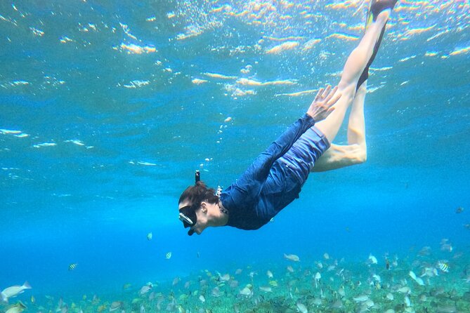 4 Hour Cozumel Turtle Sanctuary Experience on a Luxury Catamarán - Sunscreen rules and what to pack