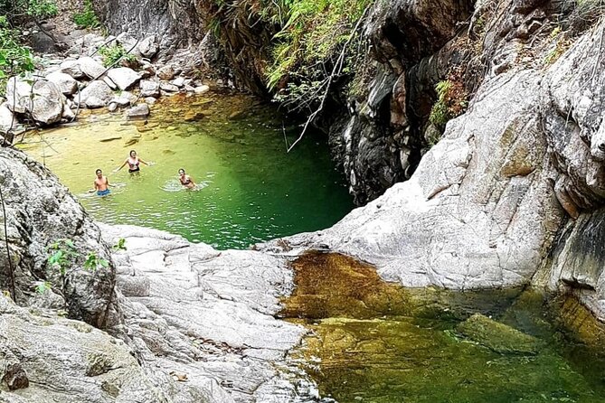 4-Hour Jungle Hike and Waterfall Swim - The guides are a major part of the value