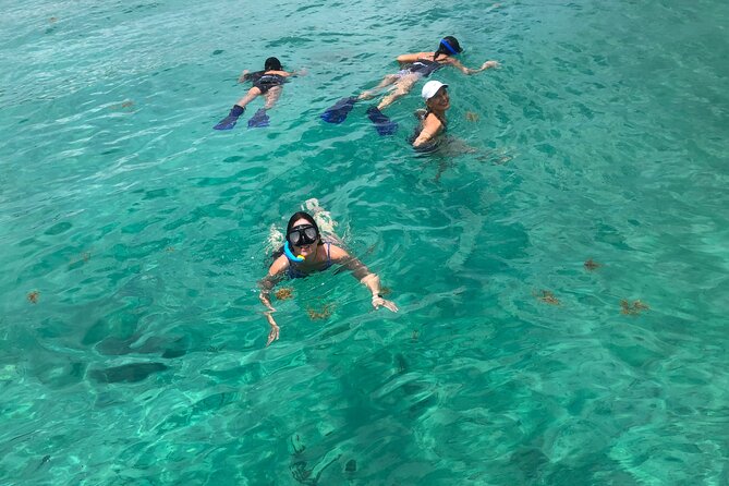 4 hours - Private 48ft Yacht all inclusive in Tulum and Playa del Carmen - Who will enjoy this yacht trip most