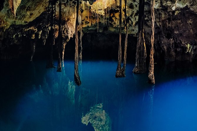 4-in-1 Cenote Tour Guided Experience with Breakfast, Lunch & Wine - Há, the Water Cenote for snorkeling and kayaking