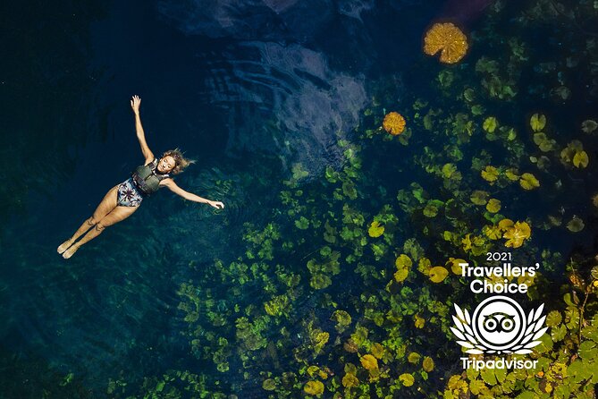 4-in-1 Cenote Tour Guided Experience with Breakfast, Lunch & Wine - Picnic lunch, drinks, and the value of the package