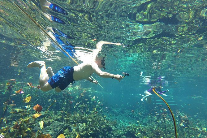 4 Private Cenotes, Zip-Lines, Canoes & Mayan Village with Delicious Lunch - What the $275 price really covers