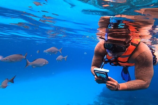 4H Luxury 44' Catamaran All-Inclusive in Tulum & Playa del Carmen - Snorkeling, swimming, and staying dry