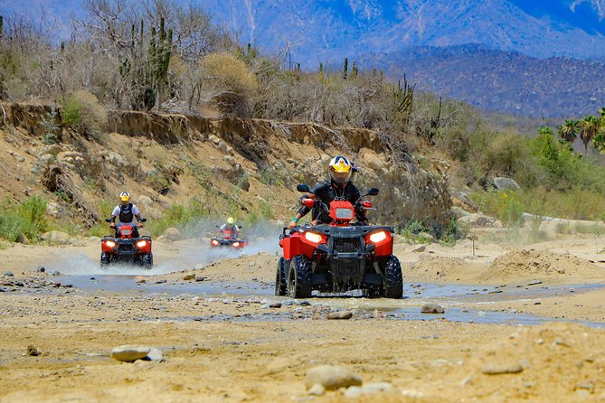 4x4 ATV Adventure with Tequila Tasting and Mexican Buffet Lunch - Riding through cactus, sand, and shallow streams
