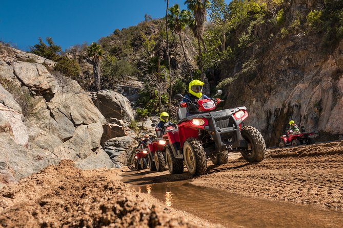 4x4 ATV Adventure with Tequila Tasting and Mexican Buffet Lunch - Lunch with Pacific views at Tierra Sagrada