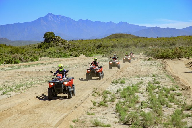 4x4 ATV Adventure with Tequila Tasting and Mexican Buffet Lunch - What the tequila and mezcal tasting includes