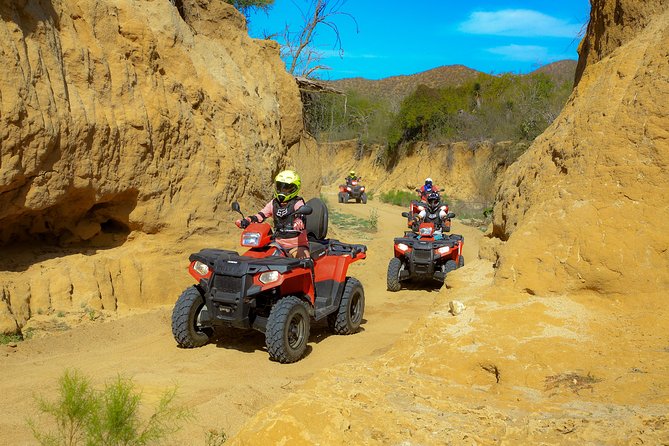 4x4 ATV Adventure with Tequila Tasting and Mexican Buffet Lunch - The real price: $75 becomes more