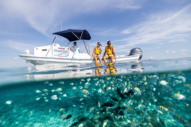 5-in-1 Cancun Snorkeling: Turtles, Reef, Musa, Shipwreck, Cenote - What This Cancun Snorkeling Tour Really Packs In