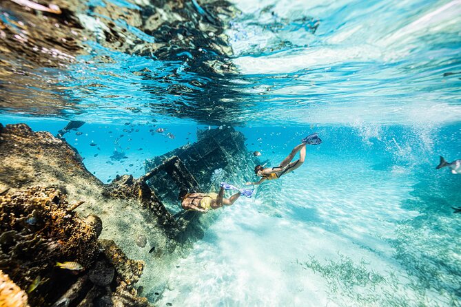 5-in-1 Cancun Snorkeling: Turtles, Reef, Musa, Shipwreck, Cenote - Sea Turtles And Possible Stingrays