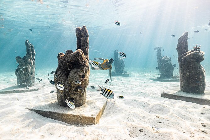 5-in-1 Cancun Snorkeling: Turtles, Reef, Musa, Shipwreck, Cenote - The Shipwreck Is A Pleasant Surprise