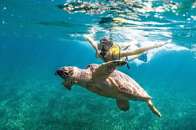 5-in-1 Cancun Snorkeling: Turtles, Reef, Musa, Shipwreck, Cenote - The Cenote Stop Has Mixed Appeal