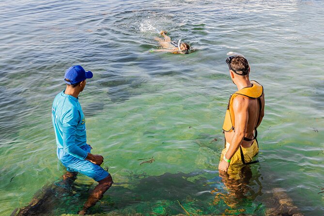 5-in-1 Cancun Snorkeling: Turtles, Reef, Musa, Shipwreck, Cenote - Boat Comfort, Motion Sickness, And Weather