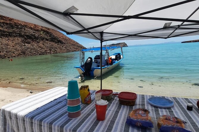 Adventure to Espiritu Santo Island: Snorkel with Sea Lions and Beach - The seasonal change from June through August