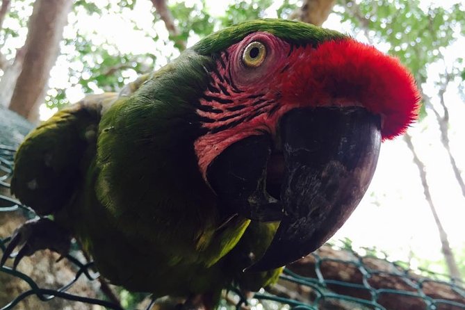 Akumal Monkey Sanctuary - Is $95 per person a fair price?